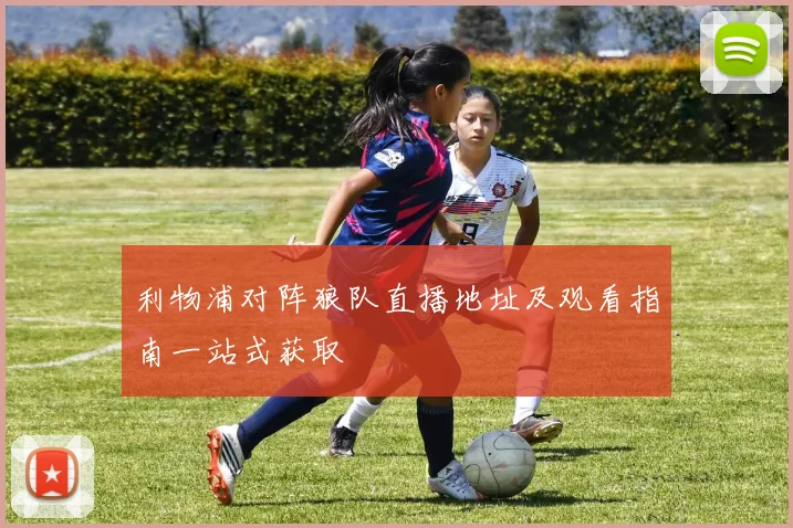 利物浦对阵狼队直播地址及观看指南一站式获取